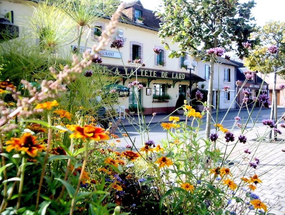 Logis Auberge A La Tete De Lard La Ferte-Imbault Exterior photo